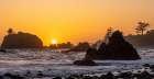 USA, California, Crescent City. Seastack along coastline at sunset Art Print
